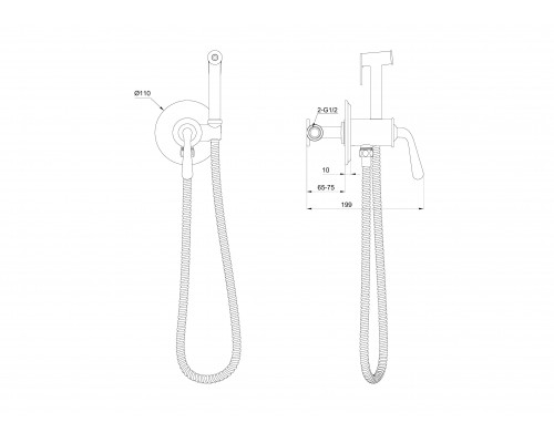 Смеситель с гигиеническим душем встраиваемый WONZON & WOGHAND STEAM, Брашированное золото (WW- 88829008-BG)