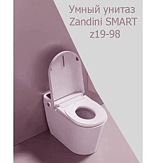 Умный унитаз (Smart) Z19-98 smart