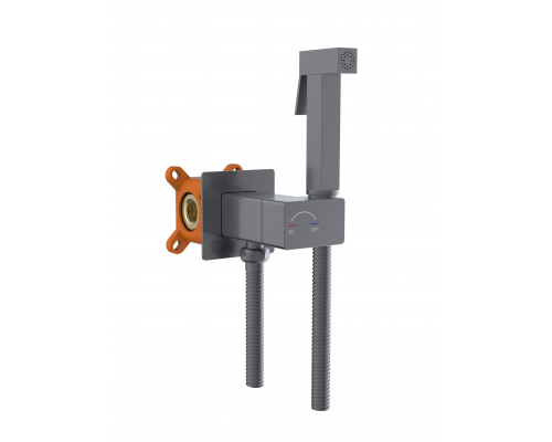 Встраиваемый гигиенический душ AltroBagno Universale 060150 GM