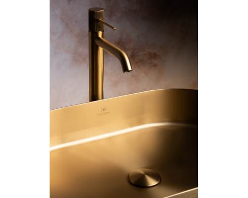 Раковина AltroBagno Eterno 001025 OrSp из нержавеющей стали