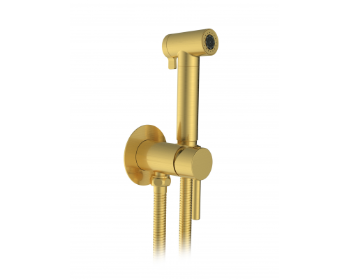 Встраиваемый гигиенический душ AltroBagno Modern 060117 BG