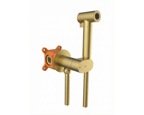 Встраиваемый гигиенический душ AltroBagno Universale 060142 BG