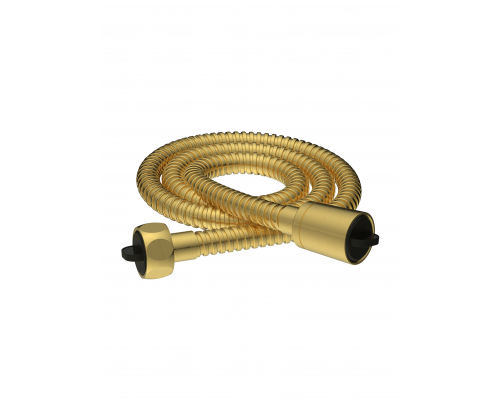 Душевой шланг AltroBagno SH 071704 BG