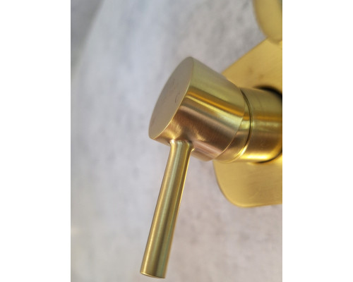 Гигиенический душ AltroBagno Metropoli 060115 OrSp