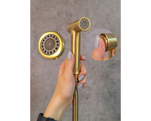 Гигиенический душ AltroBagno Metropoli 060115 OrSp