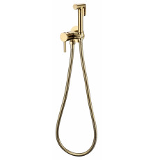 Смеситель встраиваемый с гигиеническим душем Grocenberg GB001 Золото