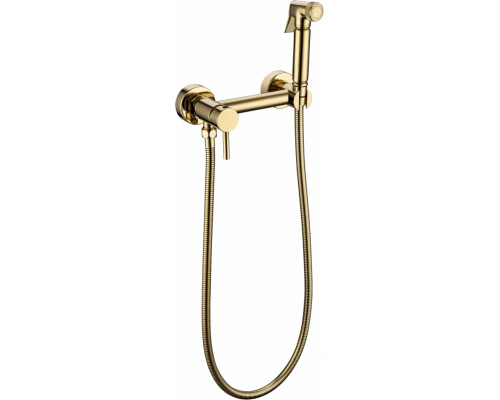 Смеситель с гигиеническим душем Grocenberg GB103N Золото