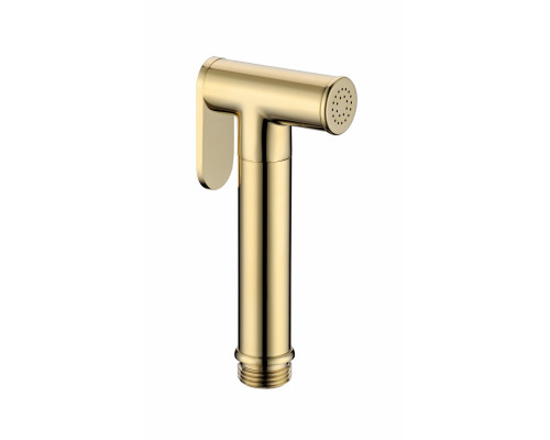 Лейка для гигиенического душа Grocenberg GB108 Золото