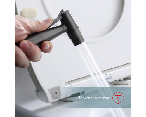 Смеситель Raglo R20.52.09 с гигиеническим душем встраиваемый , графит