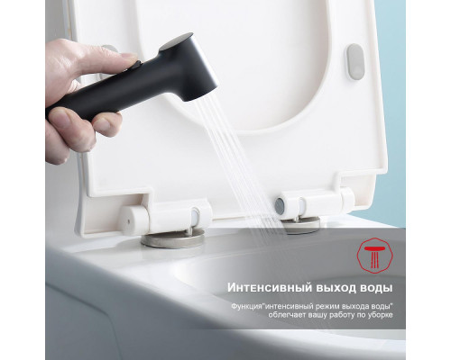 Смеситель Raglo R03.53.06 с гигиеническим душем встраиваемый , черный