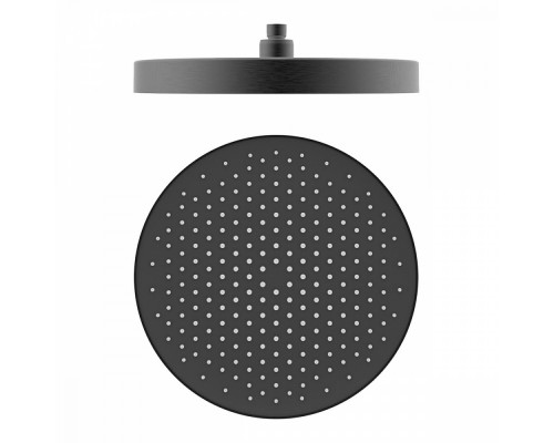 Лейка верхняя Raglo R452.09.09 для душа ∅320мм 1 режим круглая пластик/силикон, графит