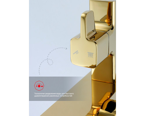 Душевая система Raglo R02.24.23 для ванны и душа излив поворотный 20 см, золото