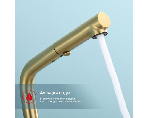 Смеситель Raglo R86.49.03 для кухни с выдвижным изливом, сатин золотой