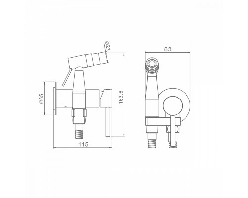 Смеситель Raglo R20.54.03 с гигиеническим душем встраиваемый , сатин золотой
