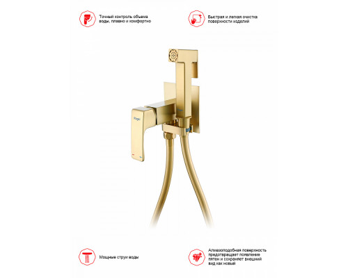 Смеситель Raglo R02.54.03 с гигиеническим душем встраиваемый , сатин золотой