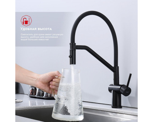 Смеситель Raglo R86.41.06 для кухни съёмный гибкий излив с магнитным фиксатором, черный