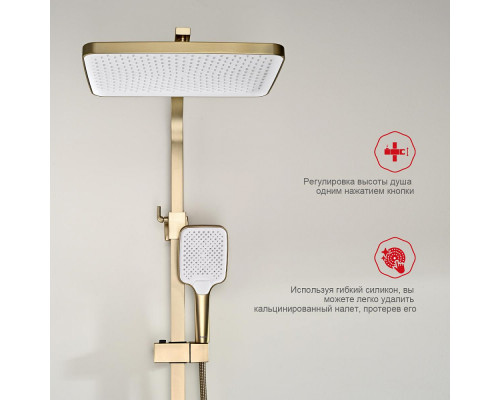 Душевая система Raglo R01.24.03 для ванны и душа излив поворотный 20 см, сатин золотой