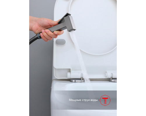 Смеситель Raglo R02.54.09 с гигиеническим душем встраиваемый , графит