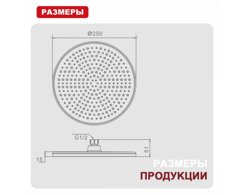 Лейка душевая верхняя Raglo R451.50.06 тропический душ ∅250мм пластик/силикон, черный