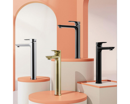 Смеситель Raglo R03.15.09 для раковины высокий монолитный, графит