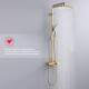 Душевая система Raglo R51.24.03 для ванны и душа излив поворотный 15 см, сатин золотой