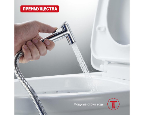 Лейка для гигиенического душа Raglo R460.03 латунь, хром