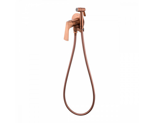 Смеситель Raglo R07.52.33 с гигиеническим душем встраиваемый , матовая медь