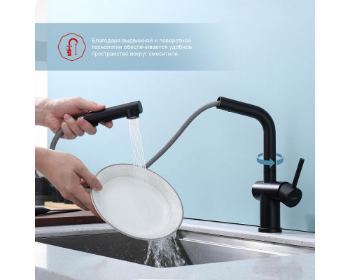 Смеситель Raglo R86.49.06 для кухни с выдвижным изливом, черный