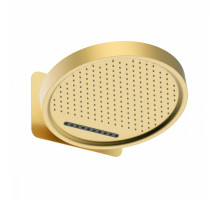 Лейка верхняя Raglo R452.02.03 для душа ∅323мм 2 режима круглая нержавеющая сталь, сатин золотой