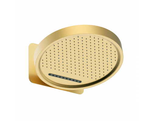 Лейка верхняя Raglo R452.02.03 для душа ∅323мм 2 режима круглая нержавеющая сталь, сатин золотой