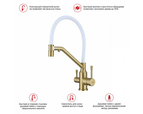 Смеситель Raglo R81.62.03 для кухни с подключением к фильтру съёмный гибкий излив с магнитным фиксатором, сатин золотой