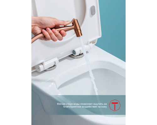 Смеситель Raglo R07.52.33 с гигиеническим душем встраиваемый , матовая медь