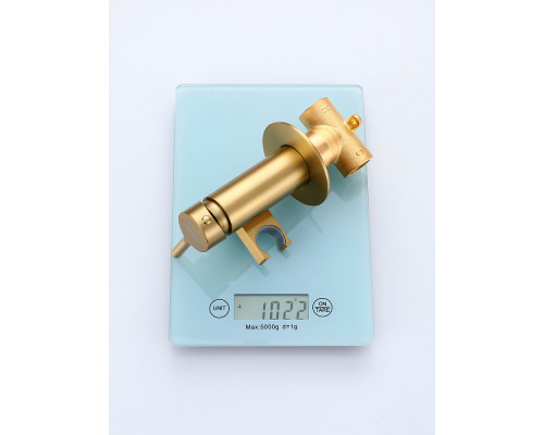 Смеситель Raglo R20.54.03 с гигиеническим душем встраиваемый , сатин золотой