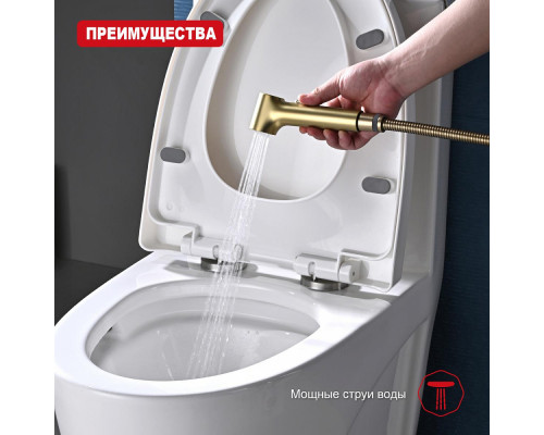 Лейка для гигиенического душа Raglo R460.05.03 с клавишей регулировки воды пластик/силикон, сатинзолотой