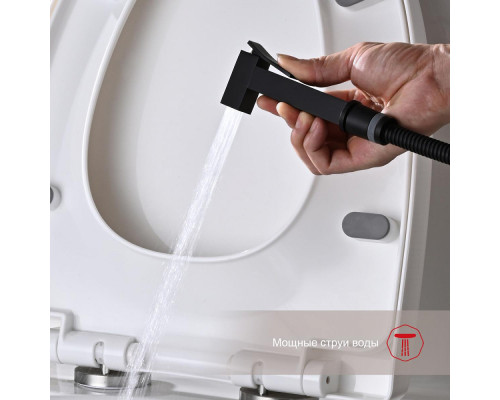 Смеситель Raglo R01.52.06 с гигиеническим душем встраиваемый , черный