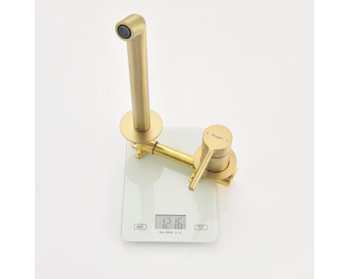 Смеситель Raglo R20.11.03 для раковины встраиваемый монолитный, сатин золотой