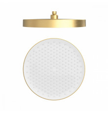 Лейка верхняя Raglo R452.09.03 для душа ∅320мм 1 режим круглая пластик/силикон, Сатин золотой