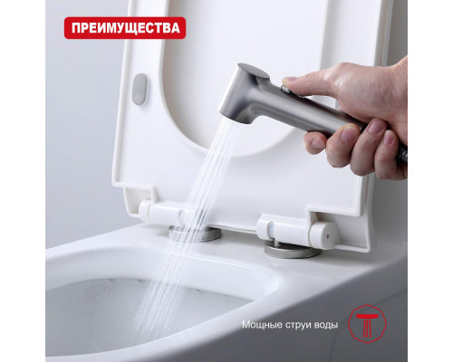 Лейка для гигиенического душа Raglo R460.05.09 с клавишей регулировки воды пластик/силикон, графит