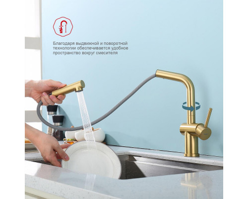 Смеситель Raglo R86.49.03 для кухни с выдвижным изливом, сатин золотой