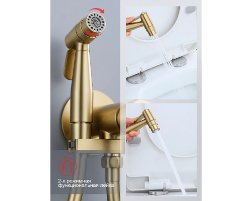Смеситель Raglo R20.54.03 с гигиеническим душем встраиваемый , сатин золотой