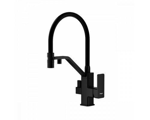 Смеситель Raglo R85.62.06 для кухни с подключением к фильтру съёмный гибкий излив с магнитным фиксатором, черный