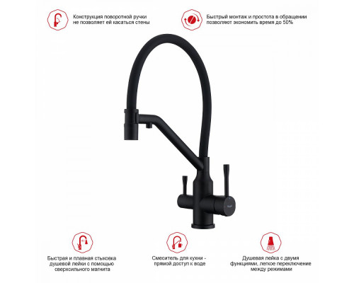 Смеситель Raglo R81.62.06 для кухни с подключением к фильтру съёмный гибкий излив с магнитным фиксатором, черный