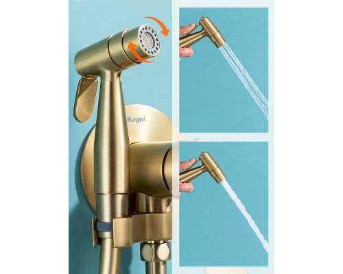 Смеситель Raglo R07.52.03 с гигиеническим душем встраиваемый , сатин золотой