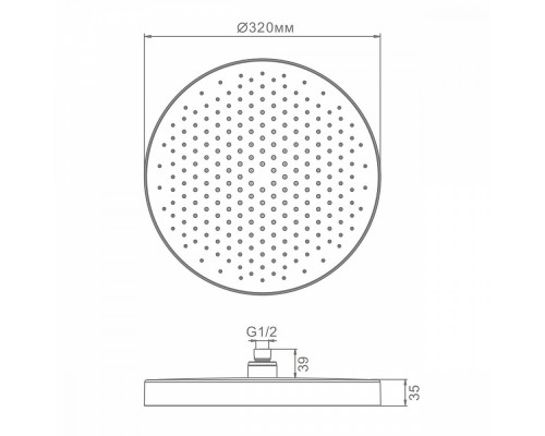 Лейка верхняя Raglo R452.09.09 для душа ∅320мм 1 режим круглая пластик/силикон, графит