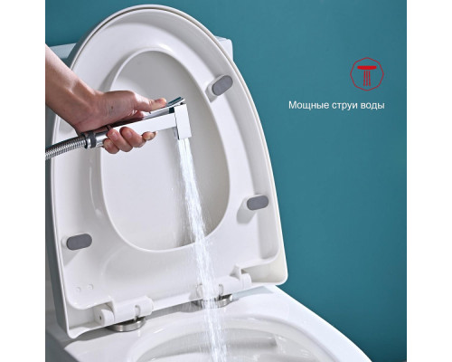 Смеситель Raglo R01.12 для раковины с гигиеническим душем монолитный, хром