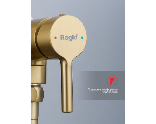 Смеситель Raglo R20.54.03 с гигиеническим душем встраиваемый , сатин золотой