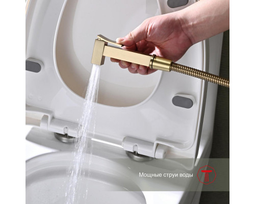 Смеситель Raglo R01.51.03 с гигиеническим душем настенный , сатин золотой