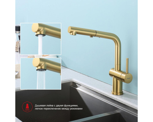 Смеситель Raglo R86.49.03 для кухни с выдвижным изливом, сатин золотой
