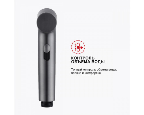 Смеситель Raglo R03.51.09 с гигиеническим душем настенный , графит