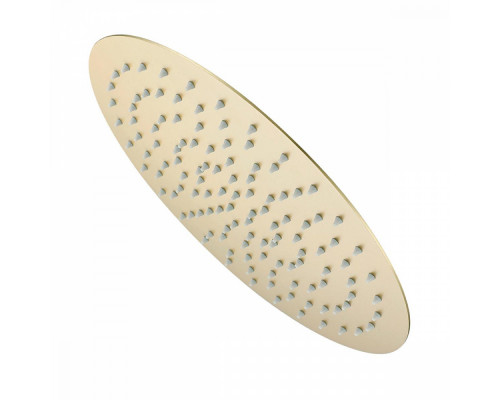 Лейка душевая верхняя Raglo R451.56.03 тропический душ ∅300мм нержавеющая сталь, Сатин золотой